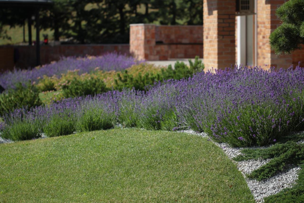 Lavender Inn Guest House Viesvenai Екстер'єр фото